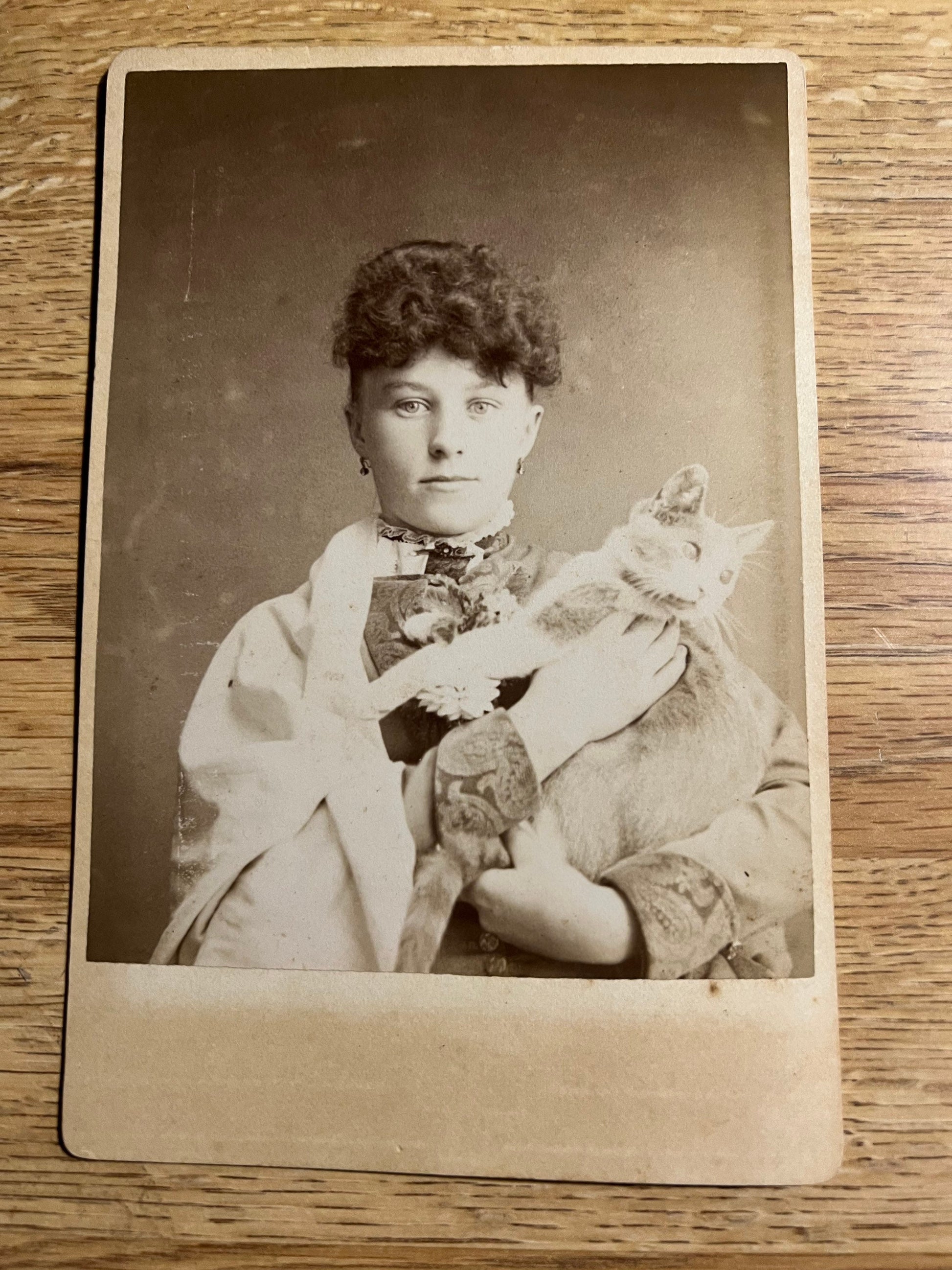 Antique Victorian Cabinet photo Young woman posing holding her tabby cat vintage photography 1800s