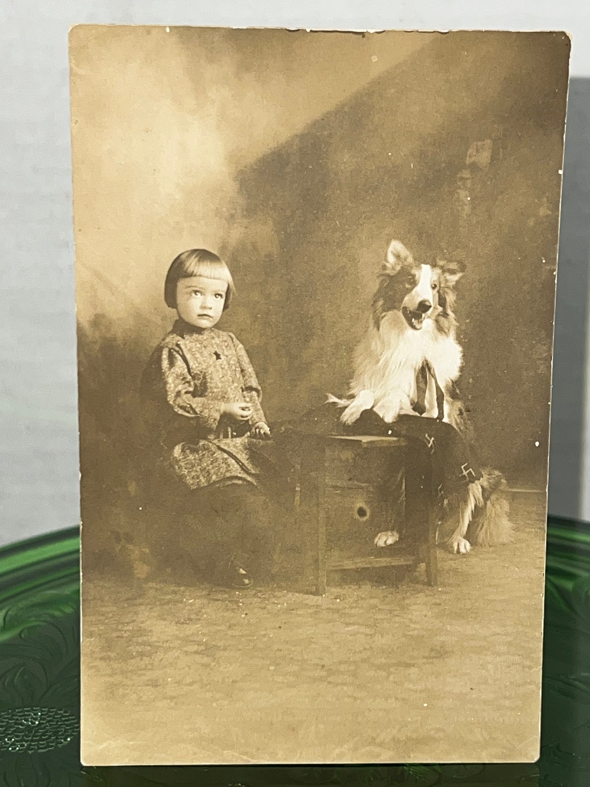 Antique rppc real photo postcard little girl & her dog border collie 1918