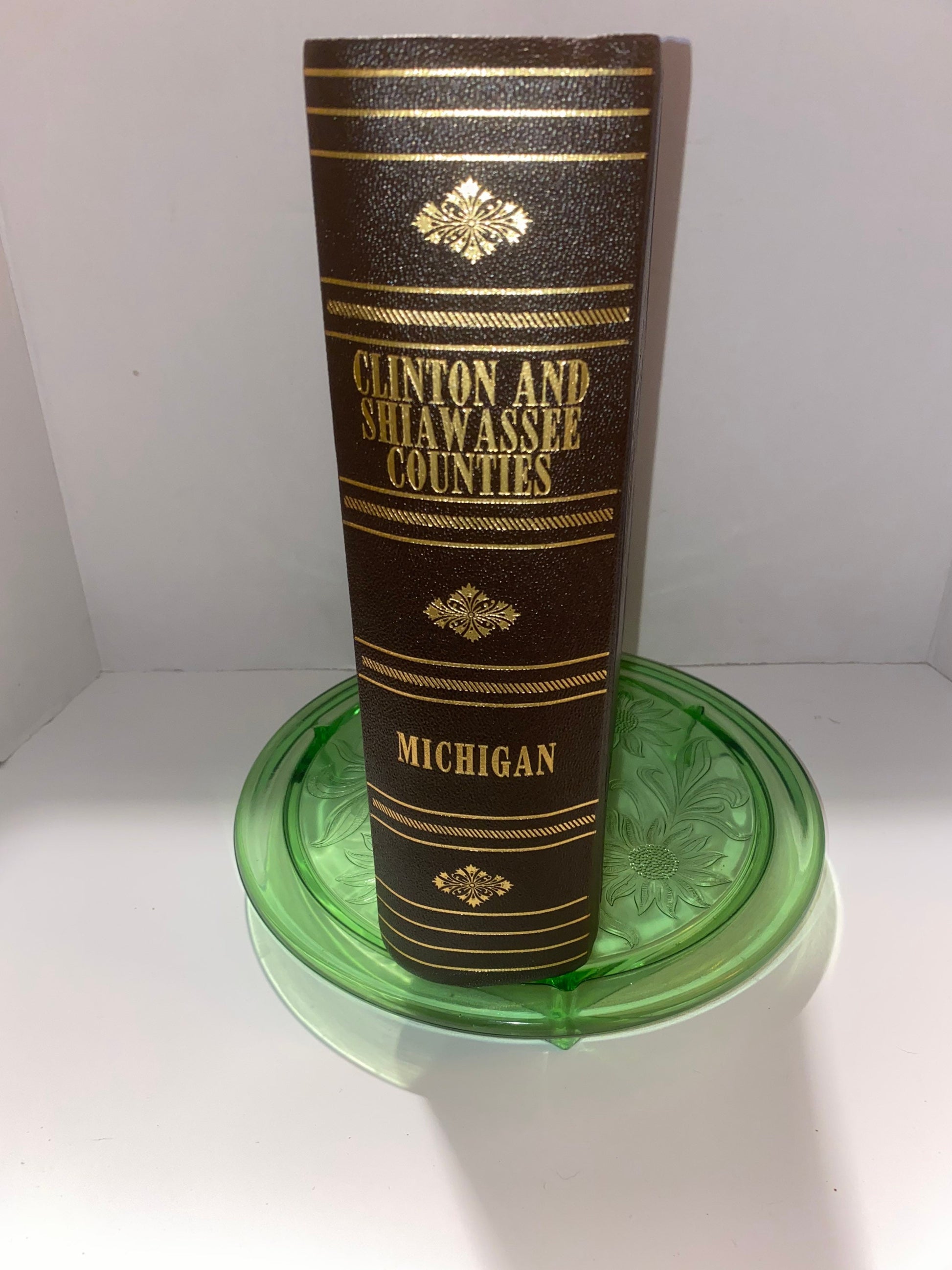 Antique biographical sketch Michigan counties club & shiawassee antique historical Victorian history