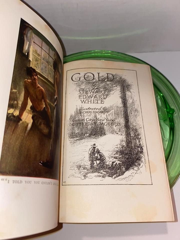 Antique pioneer book gold 1913 first edition antique exploration