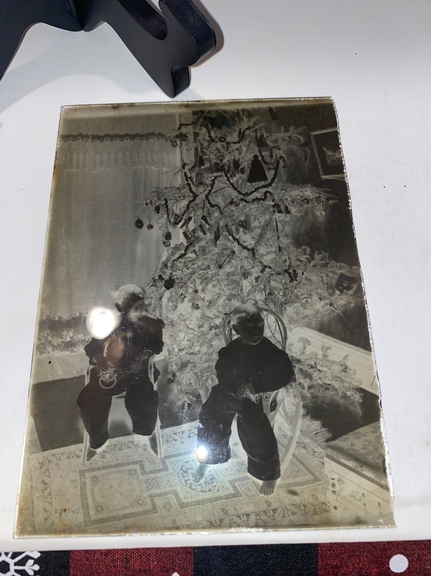 Antique Christmas glass negative 2 little boys next to tree e1900s early photography