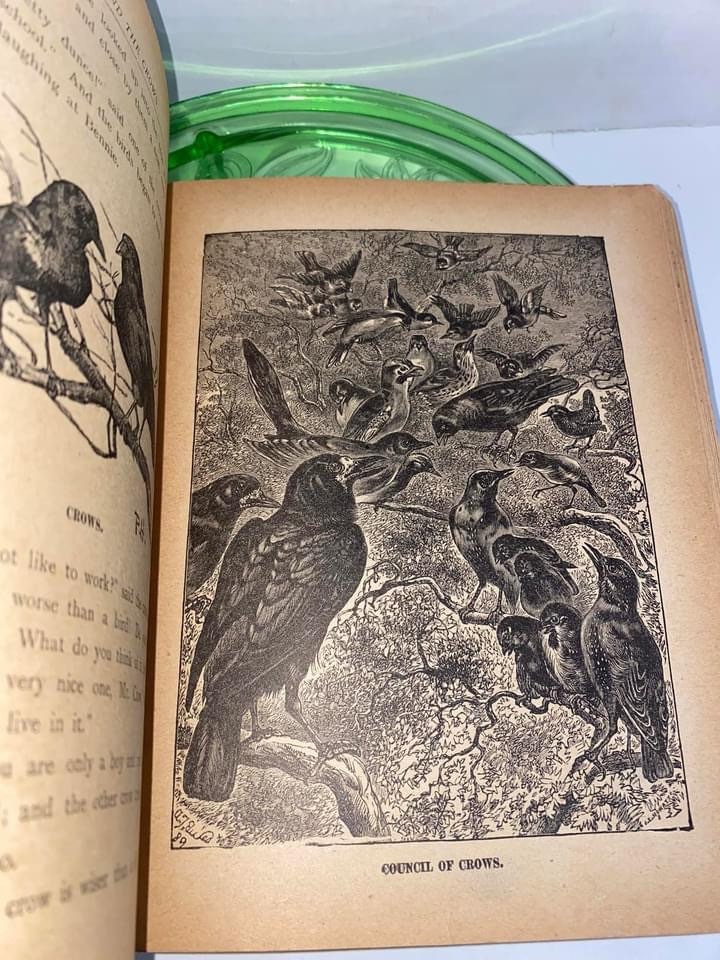 Antique Victorian animal engravings beautiful prints 1890s children’s book