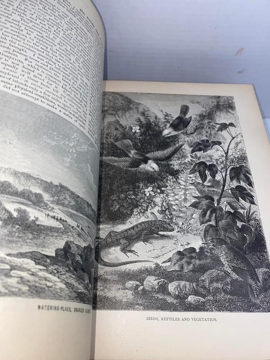 All around the world illustrated Volumes 2 & 3 Victorian history 1860-1870 engravings