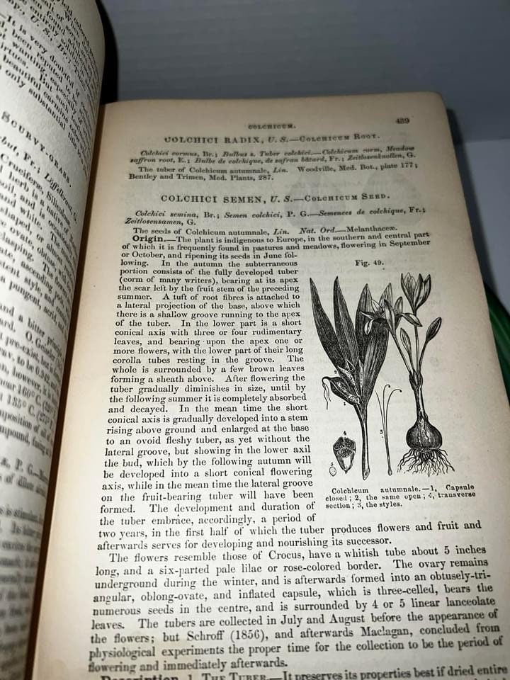 Antique Victorian medical book The National dispensatory pharmacy opium , cannabis 2nd edition illustrated 1880