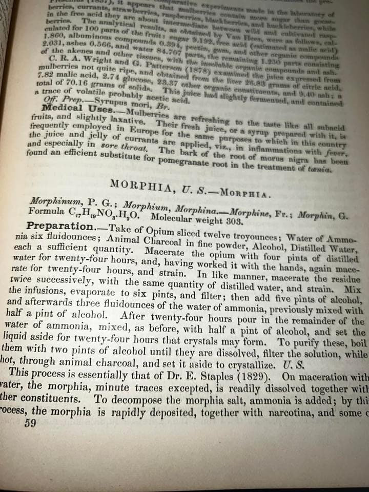 Antique Victorian medical book The National dispensatory pharmacy opium , cannabis 2nd edition illustrated 1880
