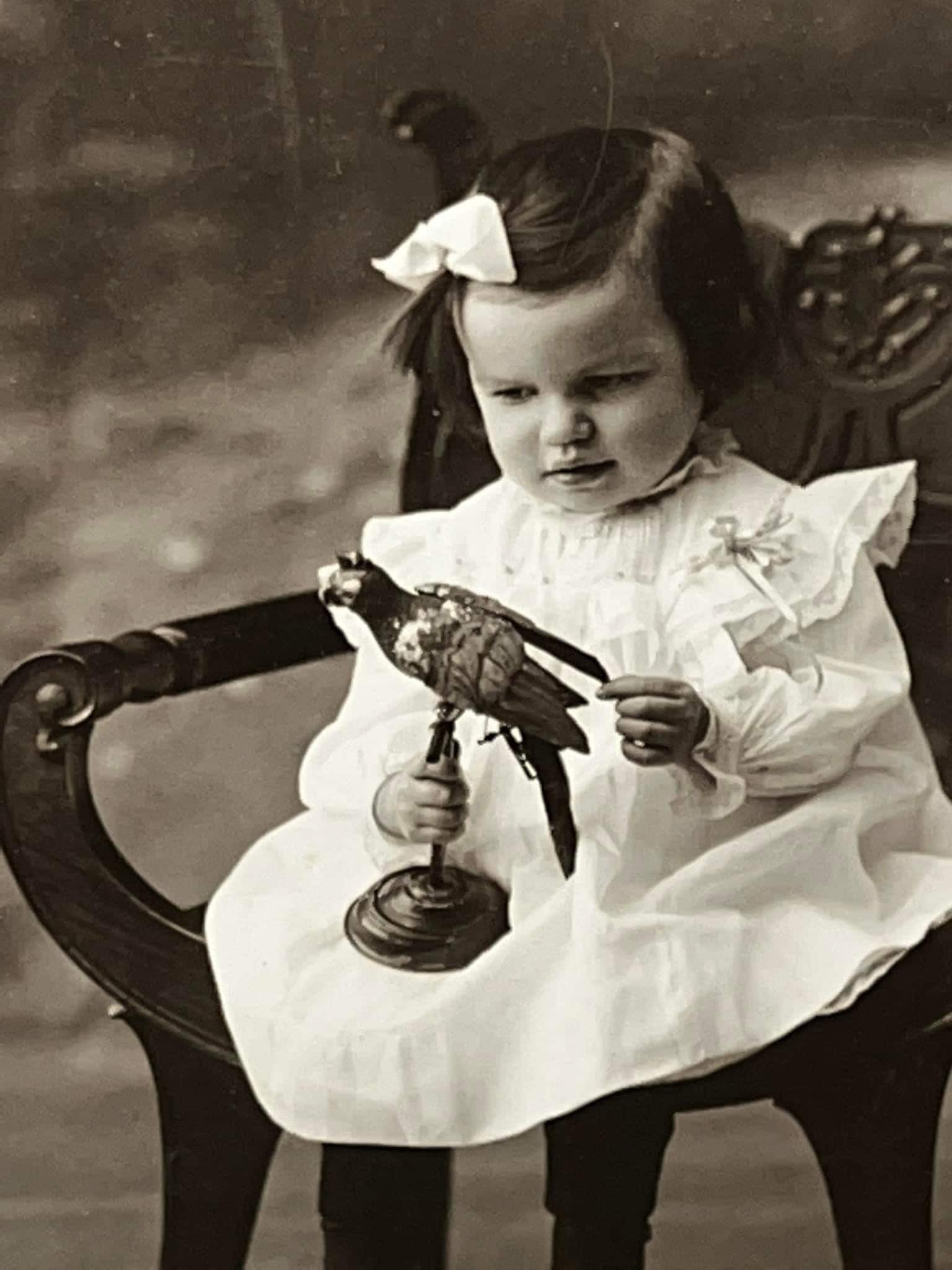 Antique mounted photo Beautiful little girl holding toy parrot corning New York