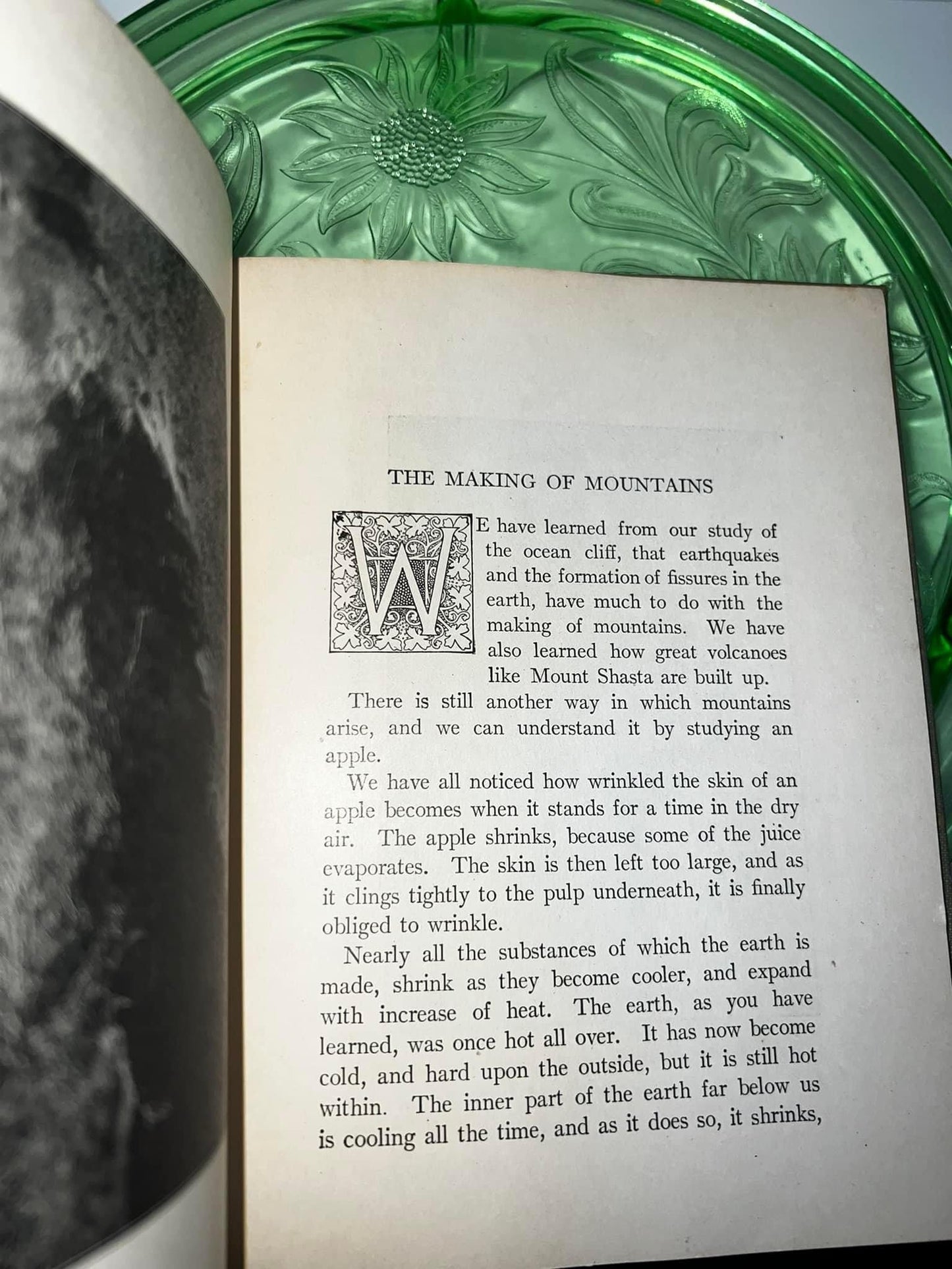 Vintage nature Stories of our Mother Earth C 1923 Illustrated