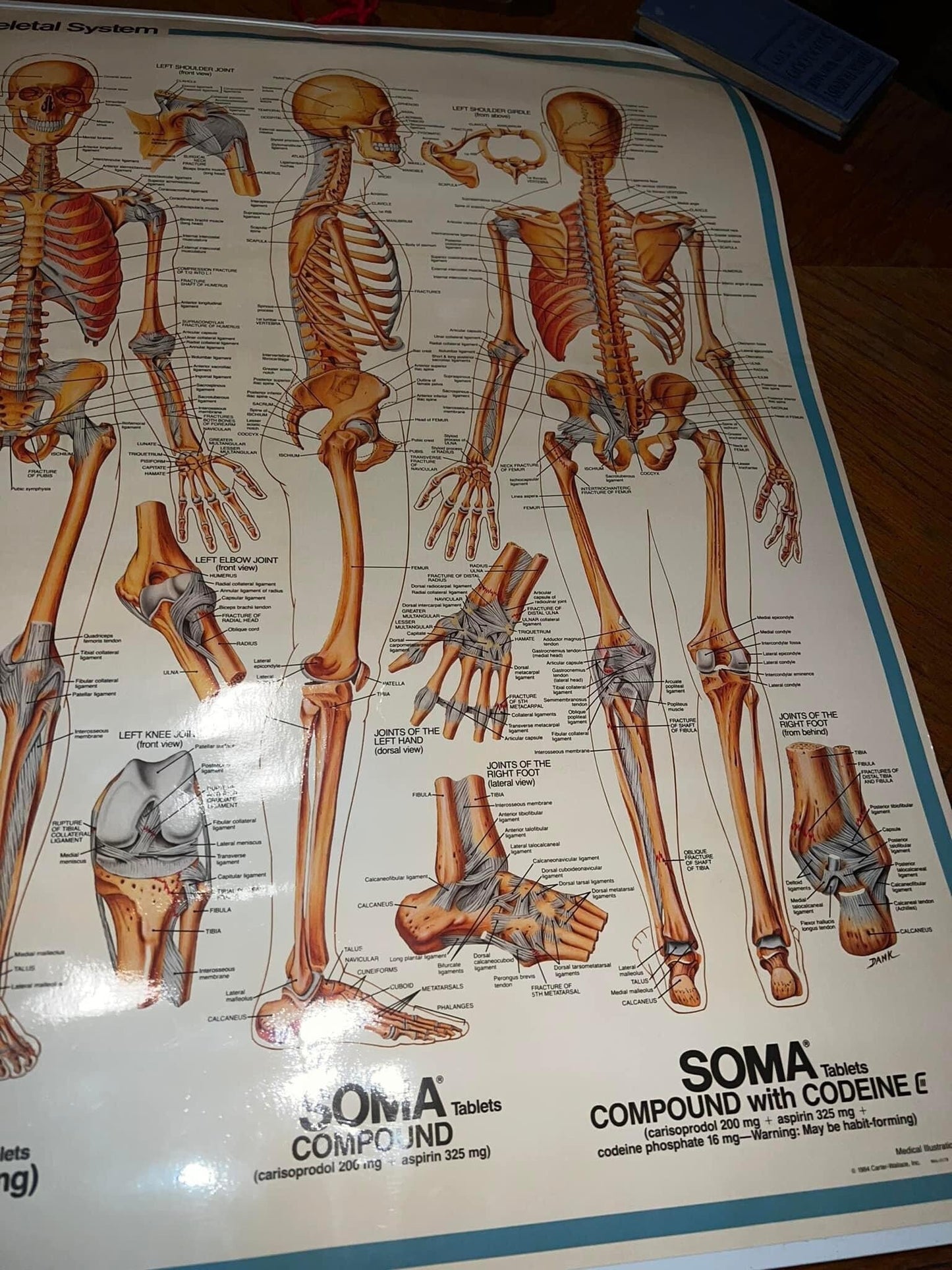 Vintage medical 1985 narcotic advertising Skeletal system Advertising for soma w codeine skeleton