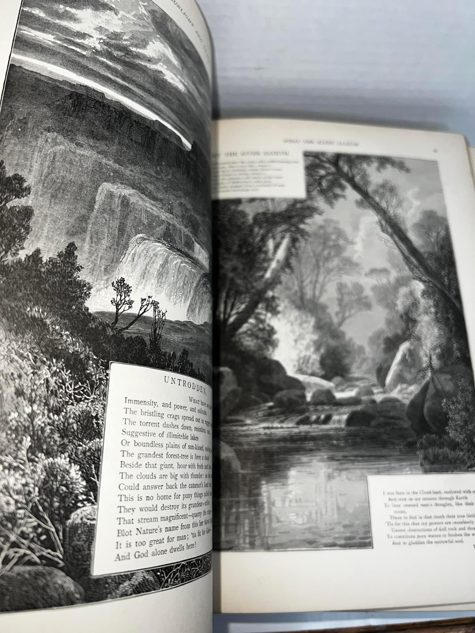 Antique Victorian Sunlight and shade Poems and pictures of life and nature C 1884 192 profusely illustrated highly detailed gilt pages