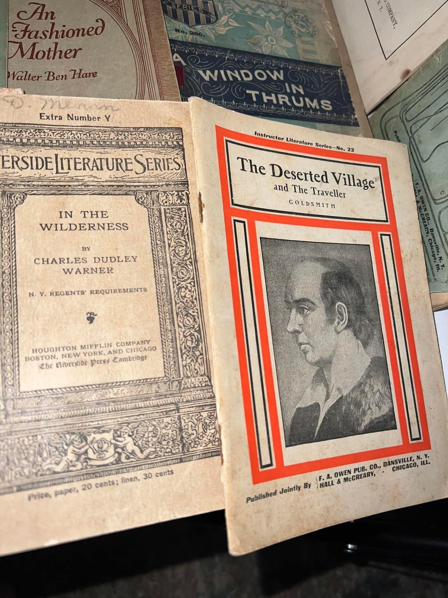 Antique 14 novel booklet lot 1890s —1900s fiction literature