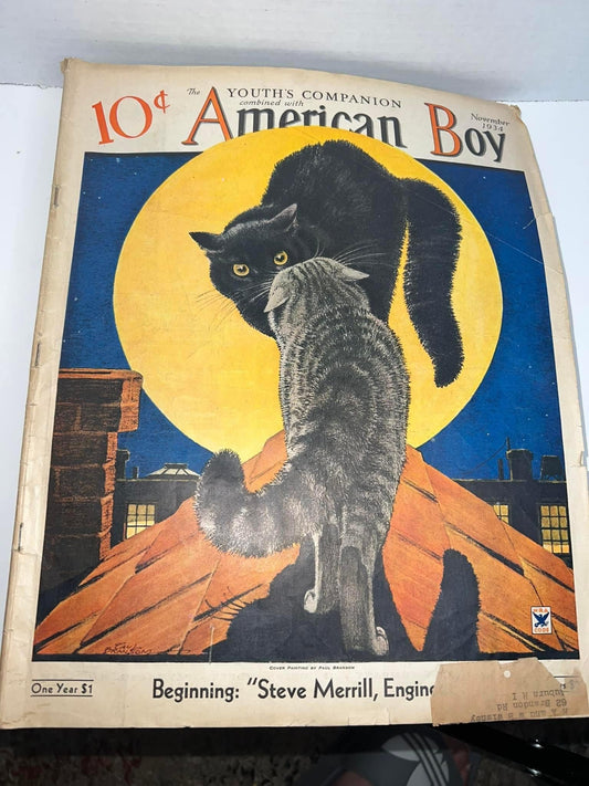 Antique Art Deco 1934 American boy magazine November great Halloween style cover fighting cats