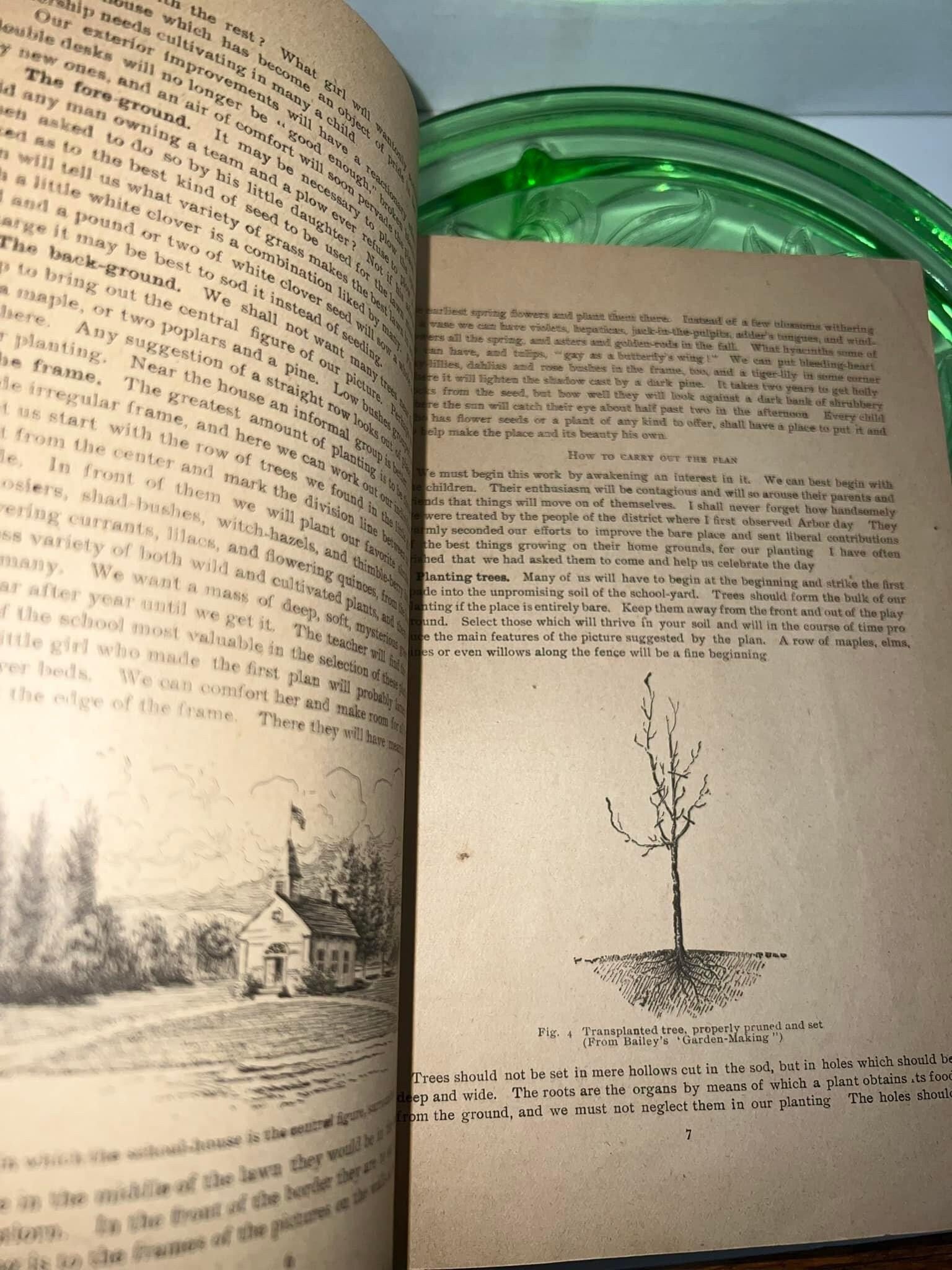 Antique 1899 Arbor Day pamphlet New York arbor floral poetry