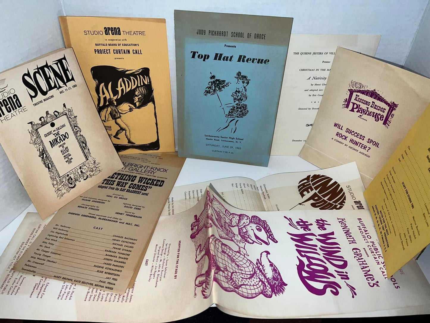 Vintage playbills and broadsides 1960s 3 wind in the willows , Winnie the Pooh & more vintage theater Buffalo New York
