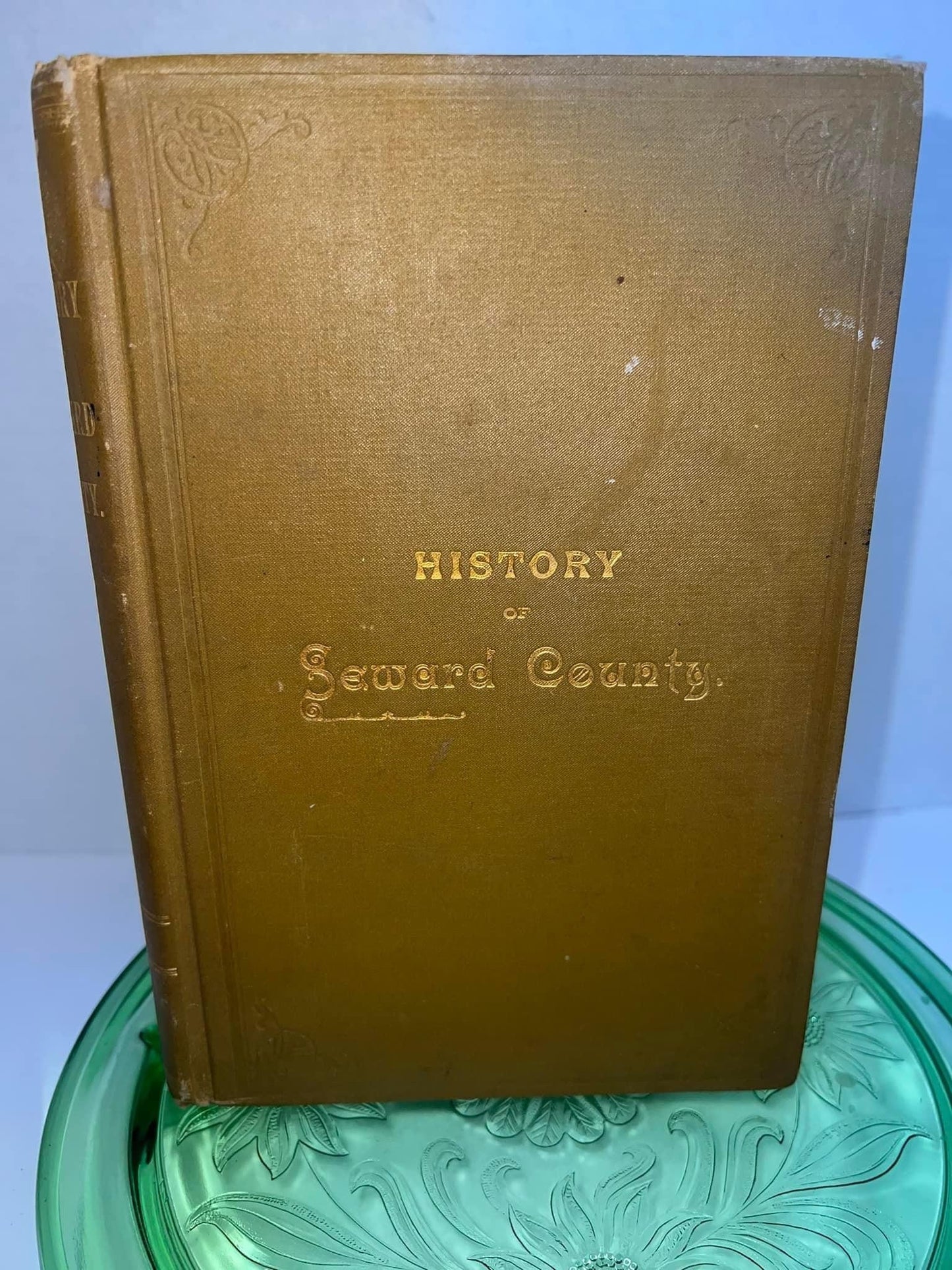 Antique History of Seward county Nebraska C 1888 1st Ed historical genealogy