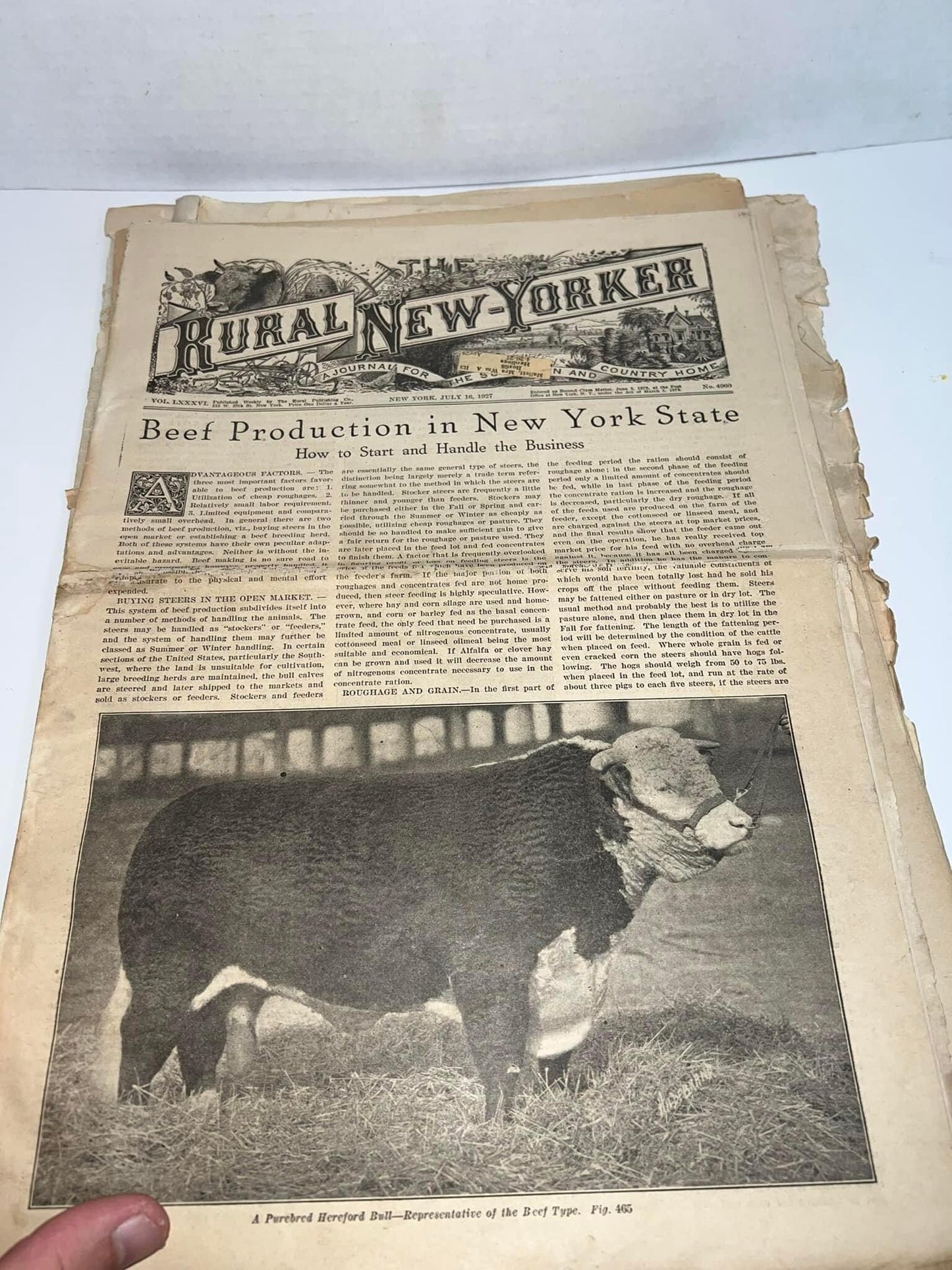 Antique magazine’s farming 1899-1915-1927 14 total rural New Yorker