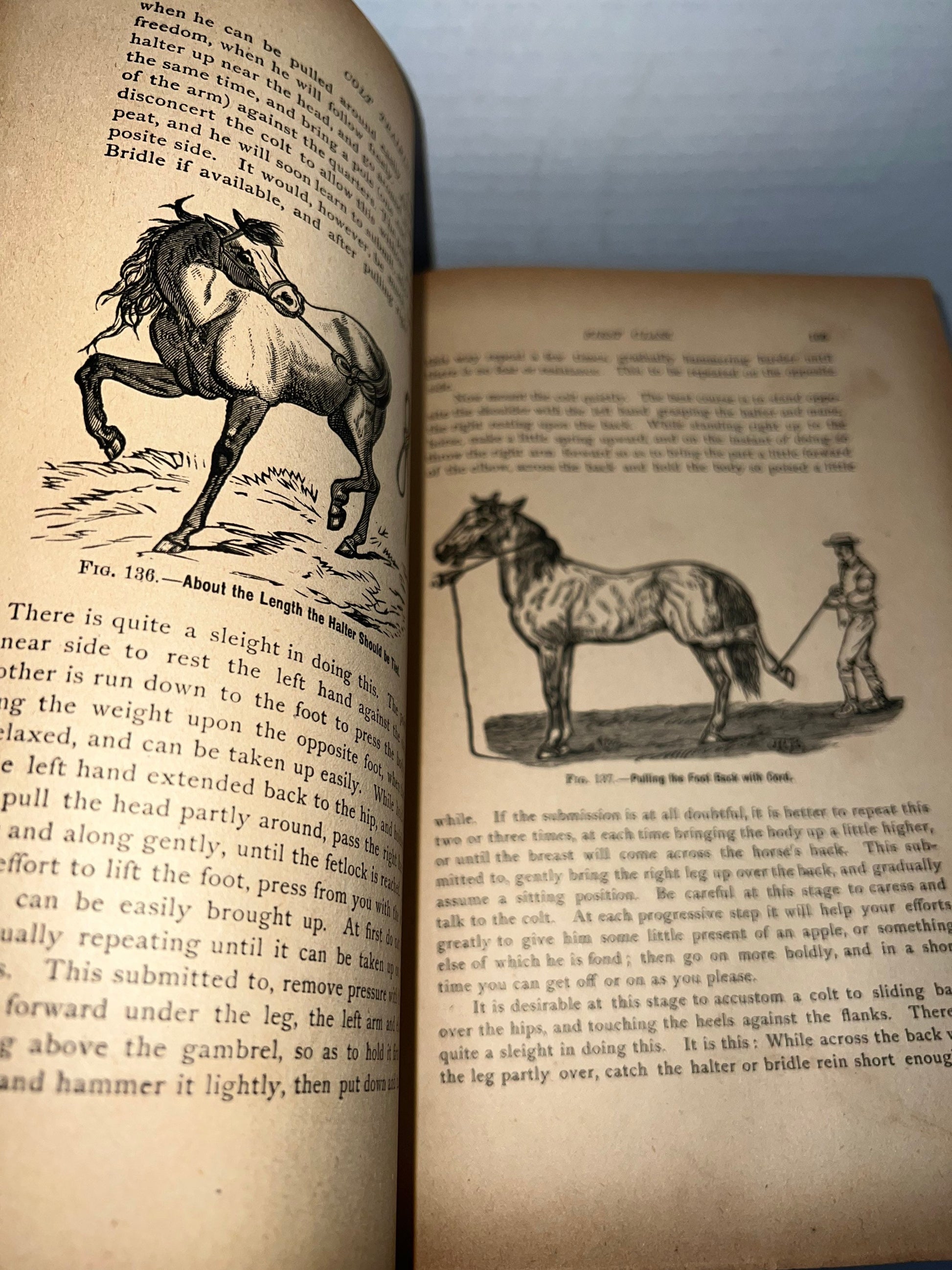 Antique magner’s standard horse and stock book equestrian 1905 profusely illustrated