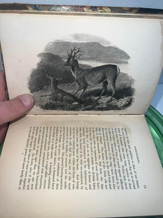 Antique 1859 early hunting Recreations in shooting - with some account of the game of British islands illustrated engravings