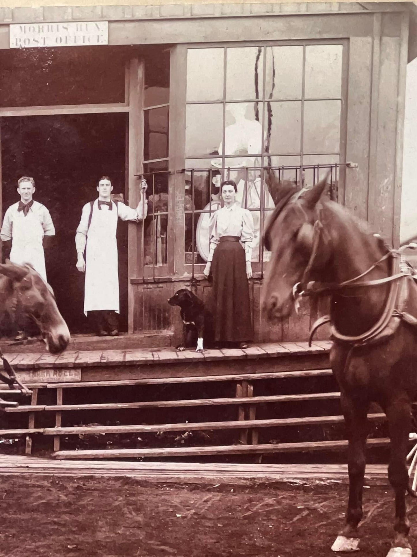 Antique Victorian occupational photo Morris run Pennsylvania 1890s post office mercantile scarce