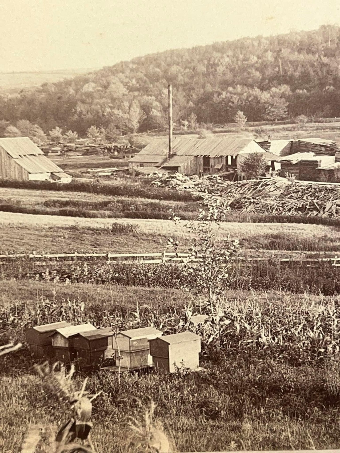 Antique Victorian Early mounted photo - 1875–1880s Keystone view co - Allentown Pennsylvania rural scene