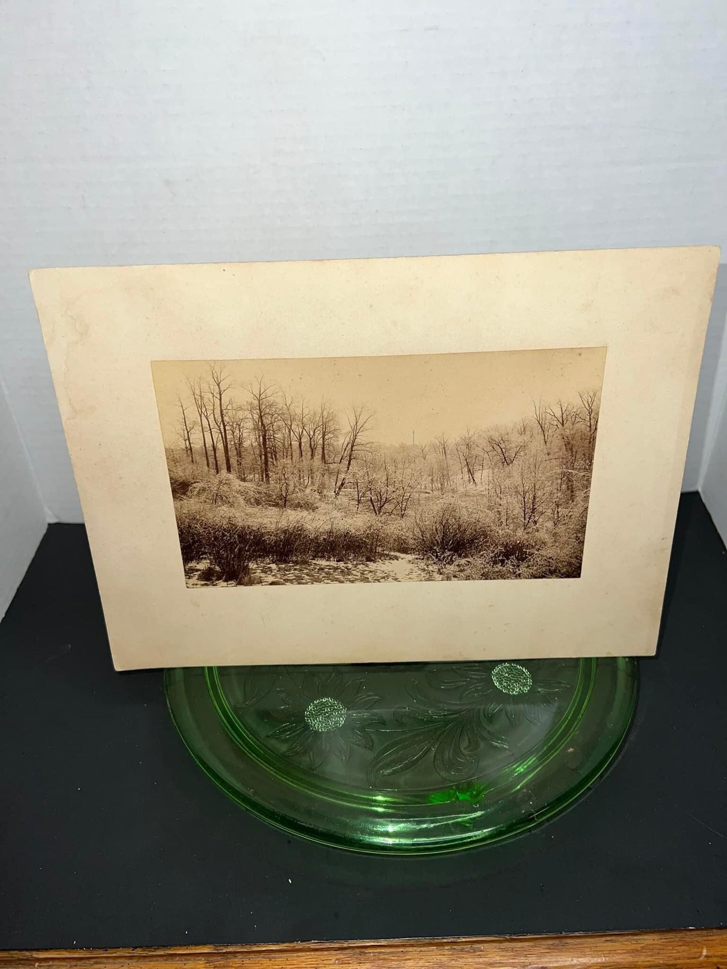 Antique Victorian Albumen photo Outdoor winter scene - ice frozen to the trees early 1880s