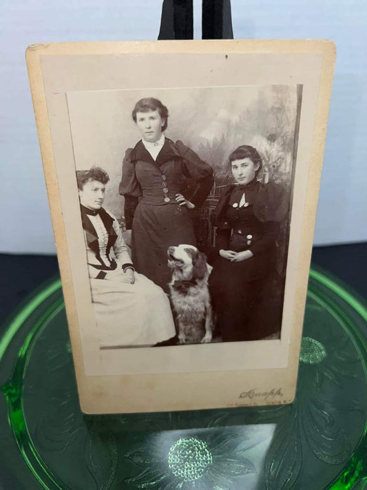 Antique Victorian Cabinet photo Sisters & their cocker spaniel dog By - knapp - Geneva ny 1880-1890