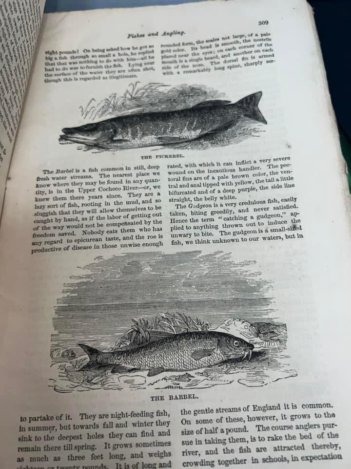 Antique Victorian 1871 Ballou’s monthly magazine literature early fishing angling illustrated