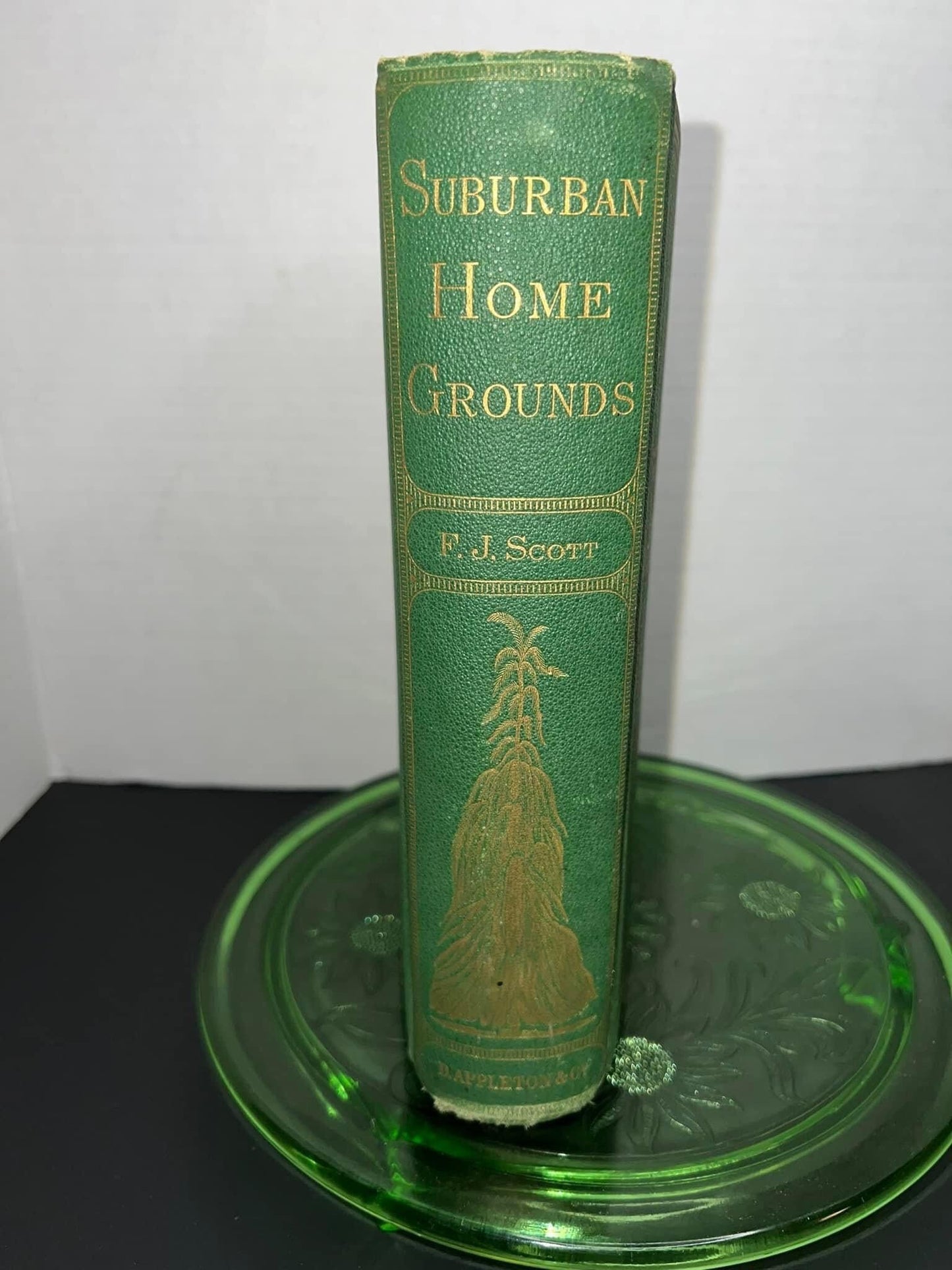 Antique 1870 - 1st edition The art of beautifying suburban home grounds Victorian gardening