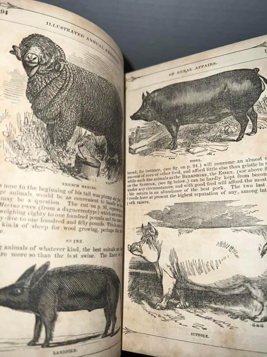 Antique pre civil war 1855-1860 Gorgeous farming , horticultural implement book The illustrated annual register of rural affairs