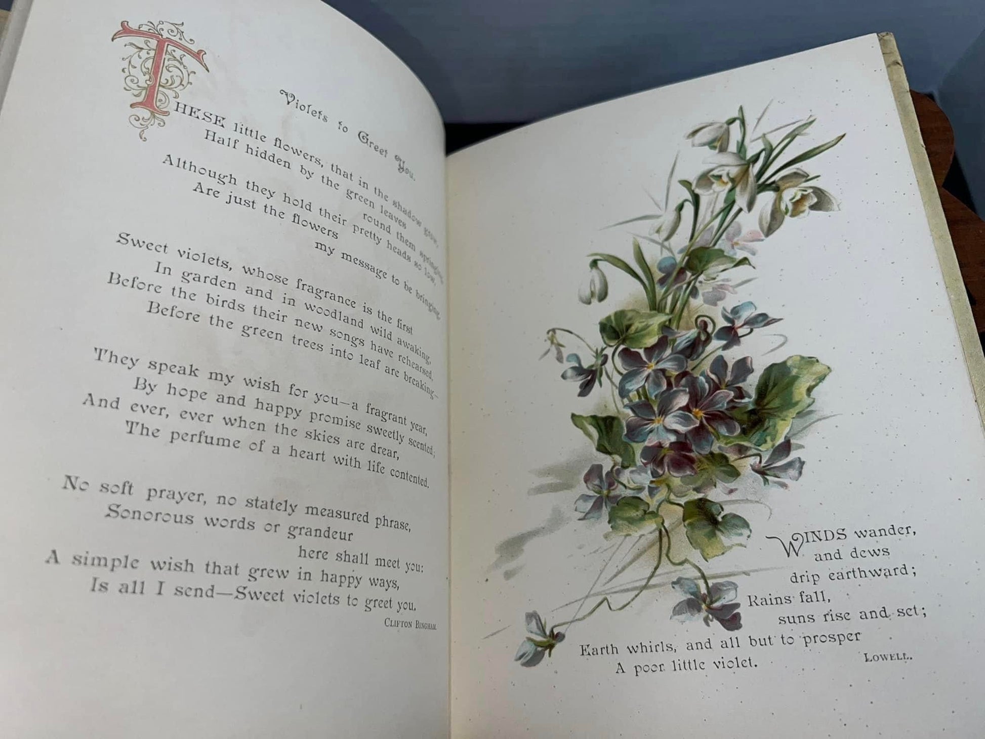 Antique Victorian book violets for you chrome lithograph illustrated 1890s