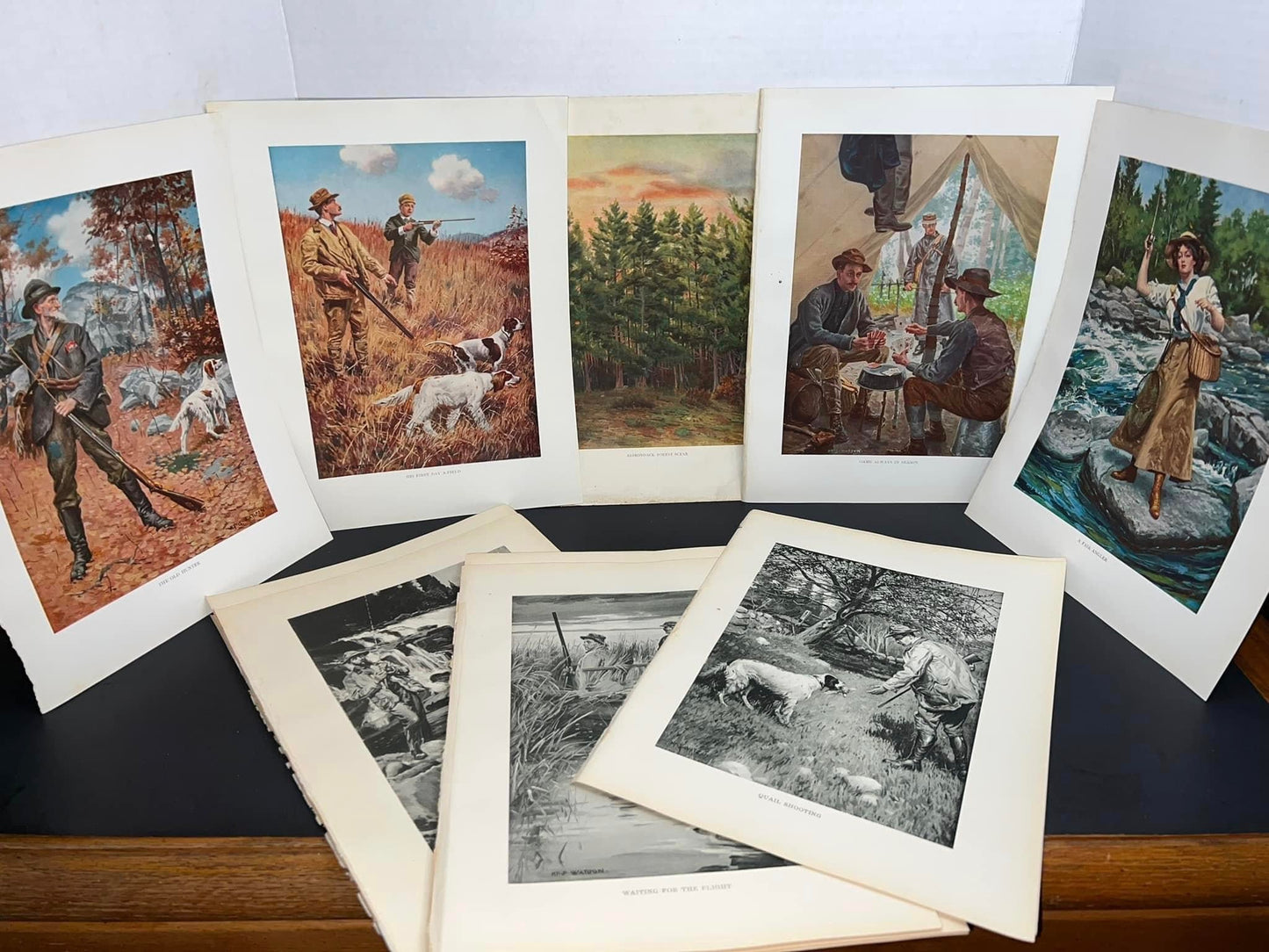 Antique 16 lithograph plates 1900s Hunting, camping, fishing , outdoors ny The Watson 1900s