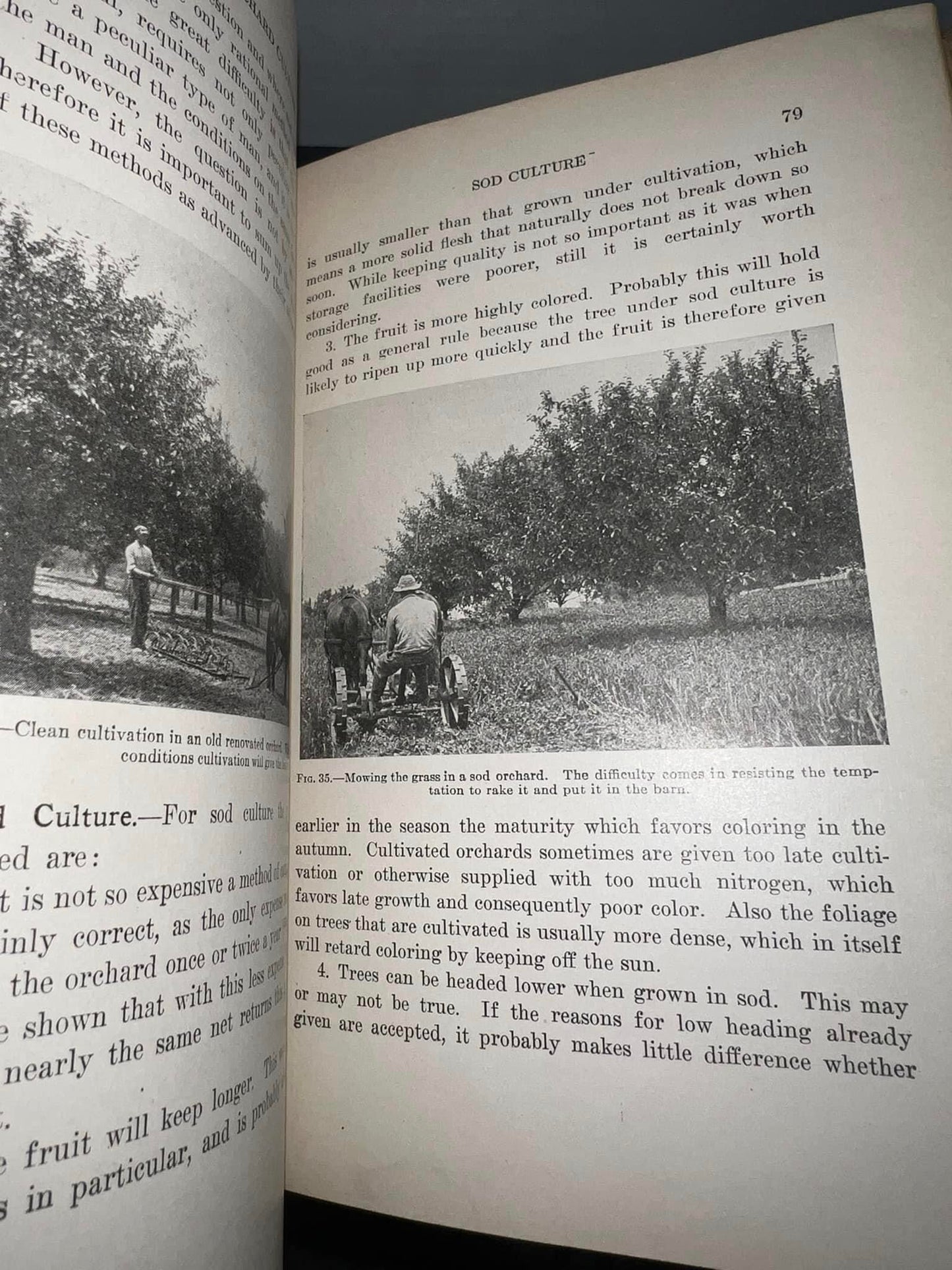 Antique horticultural 1918 Productive orcharding modern methods of growing & marketing fruit Heavily illustrated