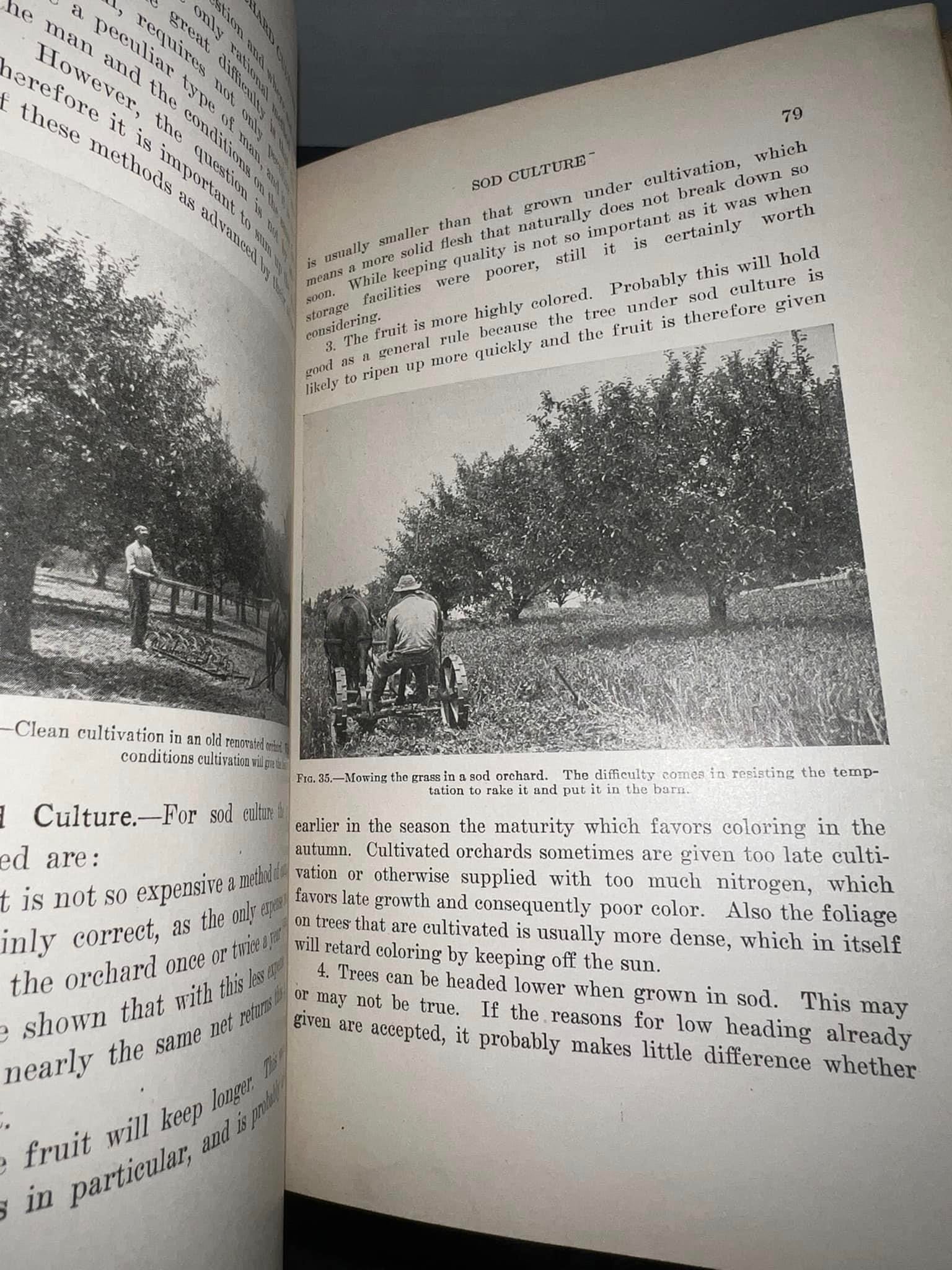 Antique horticultural 1918 Productive orcharding modern methods of growing & marketing fruit Heavily illustrated