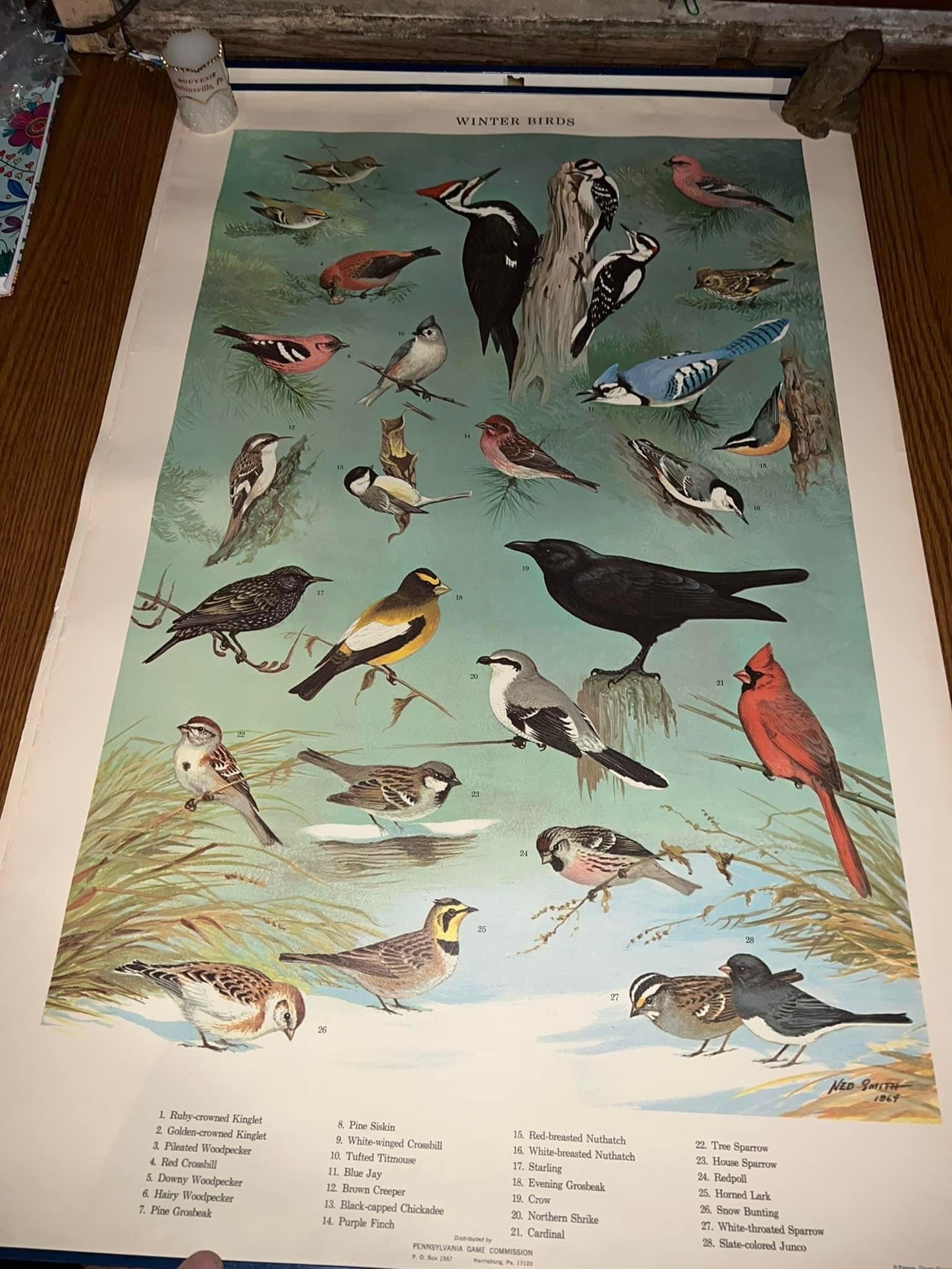 Vintage nature lithographs 4 - 1965 wall posters Pennsylvania game commission Birds , fowls , winter birds and mammals