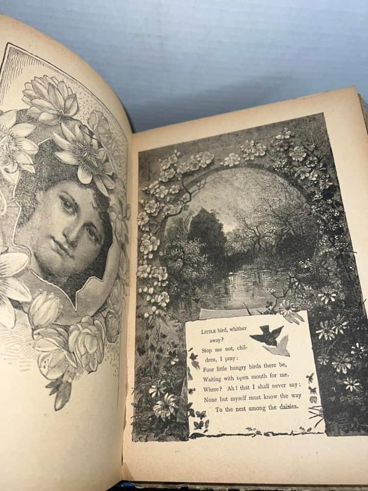 Antique Victorian children’s book 1890-1900 Fairyland stories in rhyme for the little ones Gorgeous illustrations