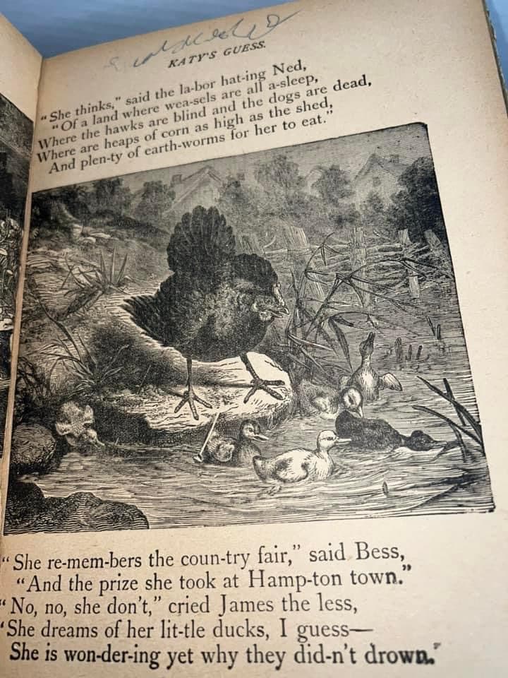 Antique Victorian children’s book 1890-1900 Fairyland stories in rhyme for the little ones Gorgeous illustrations